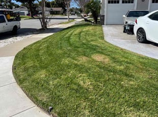 Terri B.'s Lawn Service service result