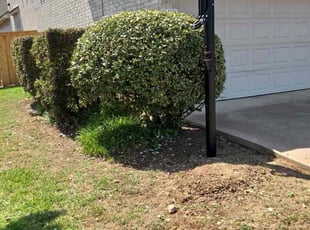 Bush Trimming by Keily Delgado Preciado for Panduranga P. in Austin, TX