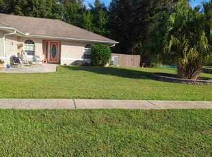 Marcela B.'s Lawn Mowing service result
