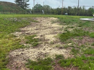 Aeration by Kenneth Williams for Tiffany S. in Pennsburg, PA