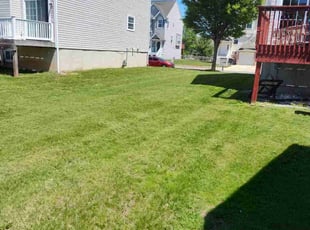 Ross M.'s Lawn Care service result