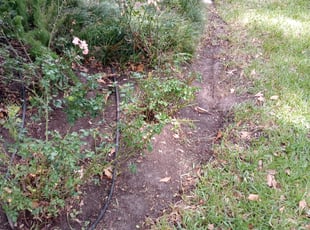 Landscaping by Rafael Gonzalez for Daniel A. in Houston, TX