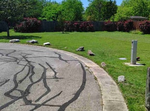 Marriah L.'s Lawn Mowing Service service result