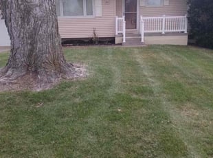 Leaf Removal by MICHAEL OFLAHERTY for Jim H. in Omaha, NE