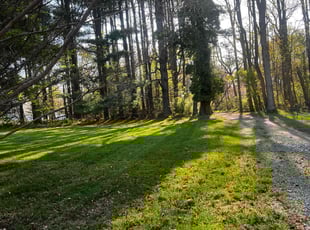 Jason P.'s Lawn Mowing Service service result