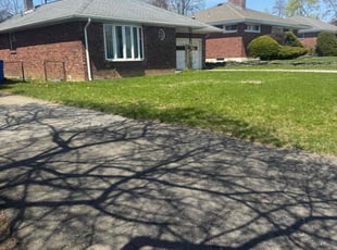 Leaf Removal by Troy Carroll for Kevin Y. in Albany, NY
