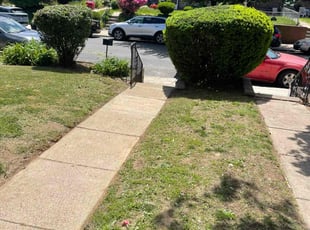Bush Trimming by Darren Burch for Christina S. in Philadelphia, PA