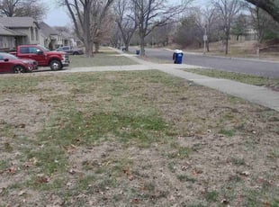 Leaf Removal by Cisco Harris for Marcie M. in Overland Park, KS