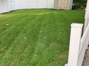 Aaron Z.'s Lawn Care service result