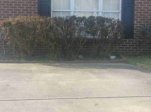 Weeding by Marcus Hardy for Joseph G. in Pelham, AL