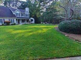 Natalie P.'s Lawn Care service result