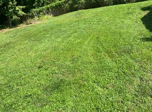 Samantha Q.'s Lawn Service service result