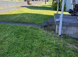 Felicia P.'s Yard Cutting service result