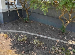 Cleanups by Japheus Sanders for John D. in Oak Park, MI