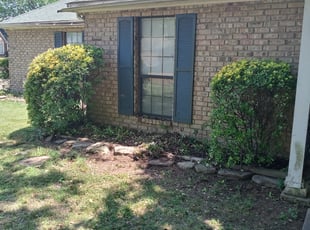 Bush Trimming by Joe Miller for ((CANCELLED)) Bryan B. in Memphis, TN
