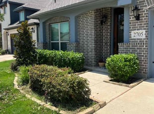 Bush Trimming by Quentin Morgan for Carly R. in Aubrey, TX