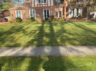 Cheryl G.'s Lawn Maintenance service result