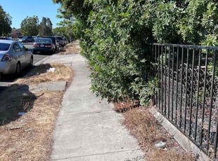 Bush Trimming by Keith Dalke for Amber L. in San Diego, CA
