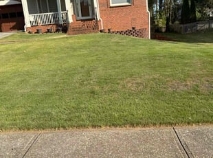 Kim J.'s Lawn Mowing service result