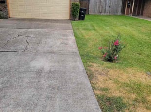 Bush Trimming by Yennifer Campos for James W. in La Porte, TX