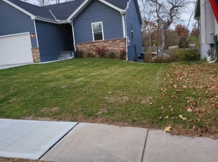 Leaf Removal by Kyle Ernst for Andrew K. in Omaha, NE