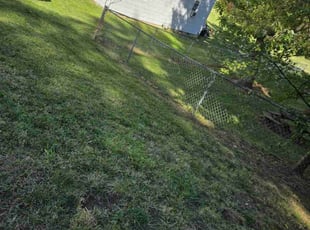 Eva D.'s Lawn Mowing Service service result