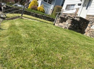 Bill B.'s Lawn Maintenance service result