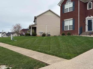 Saka A.'s Lawn Maintenance service result