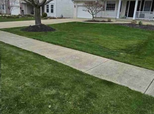 Peter S.'s Lawn Care service result