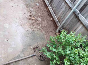 Leaf Removal by Jan ortiz for Meagan H. in Oklahoma City, OK