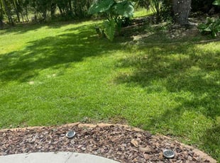 Douglas O.'s Grass Cutting service result