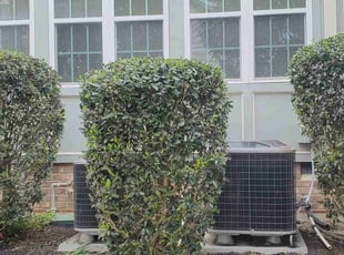 Bush Trimming by Rohan James for Charmane J. in Chester, VA