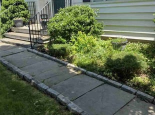 Bush Trimming by Matthew Spinelli for Sareatha F. in Bridgeport, CT