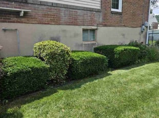 Jake K.'s Bush Trimming service result