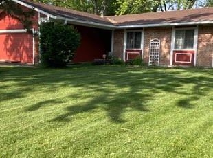 Tim M.'s Lawn Maintenance service result