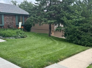 Toni E.'s Lawn Maintenance service result
