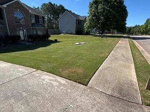 Latoya C.'s Lawn Care service result