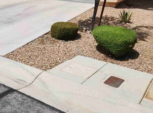 Bush Trimming by Lamont Johnson for Josh H. in Las Vegas, NV