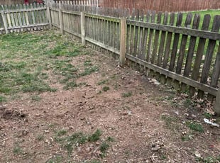 Cleanups by Darron Cotton for Andrew B. in Overland Park, KS