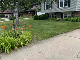 Janis R.'s Lawn Care service result