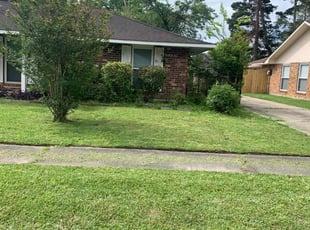 Bush Trimming by Johnnie Spears for Vanisha A. in Baton Rouge, LA