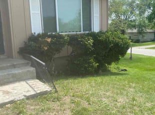 Leaf Removal by Lakieva Rowe for Carnell C. in Kansas City, KS