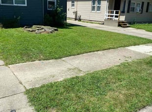 Dennis M.'s Lawn Care service result