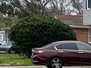 Bush Trimming by Justin Norris for Andrew F. in Hampton, VA