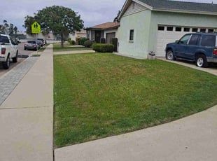 Thomas S.'s Lawn Mowing service result