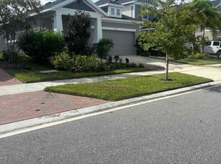 Amber H.'s Lawn Service service result