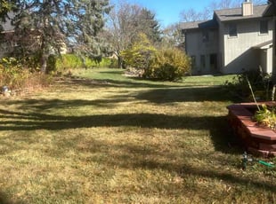 Leaf Removal by Quinn Mendlik for Roger E. in Omaha, NE