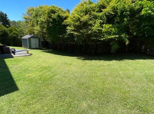 Grace H.'s Lawn Care service result