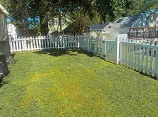 Lauren K.'s Grass Cutting service result