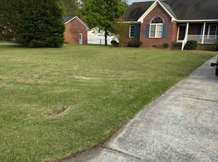 Dwight B.'s Grass Cutting service result